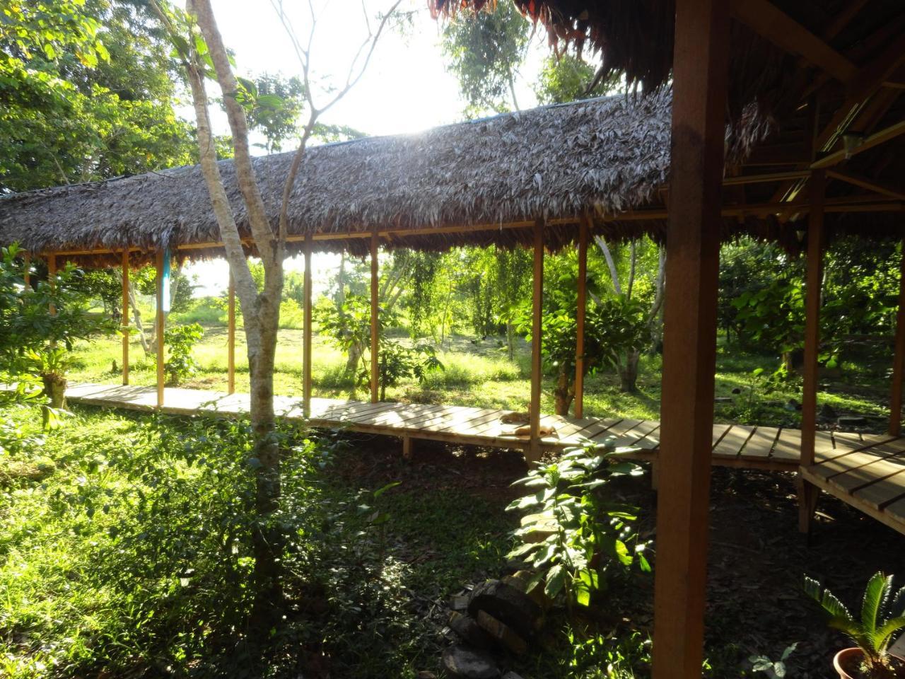 بيت شباب Sotupa Eco House بويرتو مالدونادو المظهر الخارجي الصورة